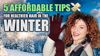 5 BUDGET FRIENDLY TIPS FOR HEALTHIER HAIR IN THE WINTER [upl. by Auhsuj531]