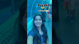 seaaquariumsingapore solotravel minivlog day 262300 part 1 [upl. by Allimac]