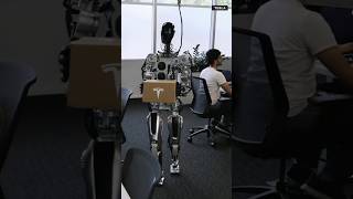 CLIP Boston Dynamics Atlas vs Tesla Optimus [upl. by Lletnuahs]