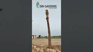 Din Gardens Faisalabad  A Perfect Blend of Luxury amp Serenity [upl. by Bickart]