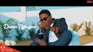 Linex  Dunia Nyingine Official Video [upl. by Ponce]