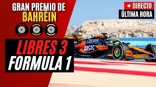 🔴 F1 DIRECTO  GRAN PREMIO DE BAHREIN 2024  LIBRES 3  Live Timing [upl. by Handy]