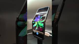 Samsung Display showed off some new foldable screens at CES CES2024 Technology [upl. by Ettelracs]