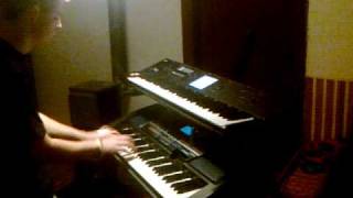 Sonata Arctica  Wolf and Raven keyboard cover [upl. by Christabella]