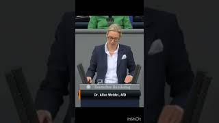 Weidel über Woke Autoritarismus [upl. by Perla]