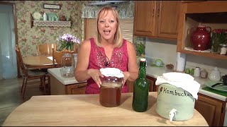 How to Make Kombucha [upl. by Rebbecca]