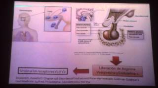 FISIOPATOLOGIA DE LIQUIDOS Y ELECTROLITOS DESHIDRATACION [upl. by Mitchell]