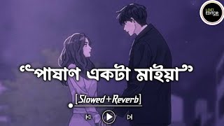 Pashan Akta Maiya slowedreverb পাষান একটা মাইয়া SlowedReverb TikTok Viral Bangla Lofi Song 2023 [upl. by Ardua]