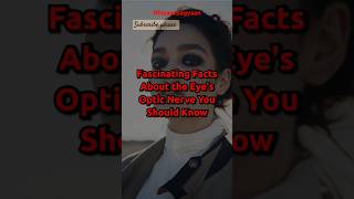 Optic Nerve  The Incredible Connection Between Your Eyes and Brain  Optic Nerve of the eye [upl. by Kcirdek]