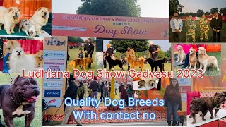 Ludhiana Dog show Gadvasu 2023 [upl. by Nnylhsa]