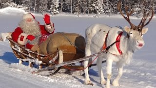 Joulupukki amp porojen superjäkälä 🦌🎅 joulupukin lentävät porot Lappi lastenohjelma joulu [upl. by Korman]