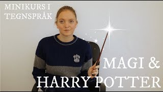 Minikurs i tegnspråk Magi og Harry Potter  del 1 115 [upl. by Viscardi427]