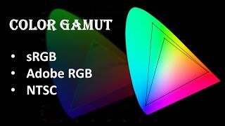 Choosing Color Gamut For Laptops  sRGB Adobe RGB and NTSC  Explained in Hindi [upl. by Lexine]