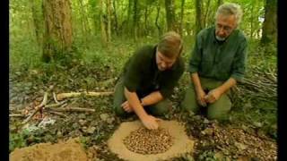 Woodland Ray Mears Wild Food E5 part 4 [upl. by Nalor]