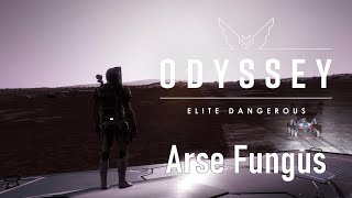 Elite Odyssey Alpha  Arse Fungus [upl. by Naehgem57]