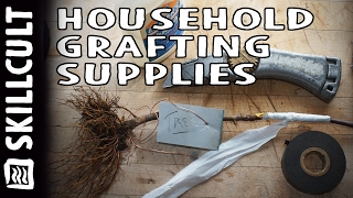 Grafting with Household Supplies Nothing Special Needed [upl. by Aehsila]