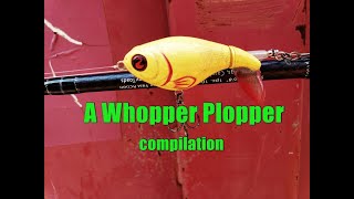 A Whopper Plopper compilation video [upl. by Ateekal375]