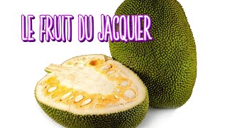 TOUT SUR LE JACKFRUIT [upl. by Ennaj]