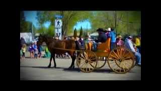 Devon Days Parade 2014 Alberta [upl. by Nylsirk]