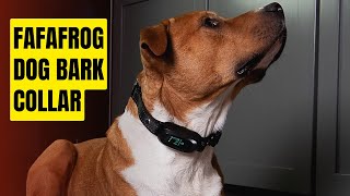 FAFAFROG Dog Bark Collar Review  Anti Barking Collar for Large Medium Small Dogs [upl. by Care]