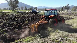 Barbechando con arado tipo pesado 5 discos 30quot BALDAN y tractor KUBOTA M135X [upl. by Sateia701]