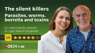 The silent killers parasites worms borrelia and toxins  Dr Wiechel amp Dr Klinghardt  🇨🇭QS24 [upl. by Taka]