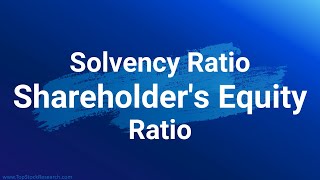 Shareholders’ Equity Ratio Hindi  Financial Ratio Analysis [upl. by Evered466]