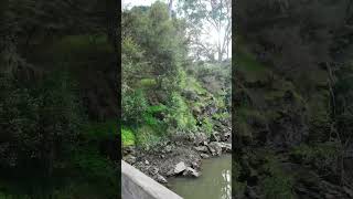 Warrandyte State Park  VIC Australia park lake river camping hike asmr relax outback [upl. by Karwan455]