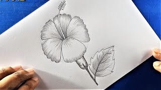 Joba Ful Drawing with Voice Tutorial [upl. by Cusack]