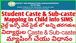 Student Caste and Sub caste mapping in Child info CSE  How to enter Students Catesubcaste details [upl. by Annoid]