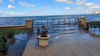 Gate Keeps Out Alligators amp Manatees Not Flooding of Lake Monroe from Hurricane Milton [upl. by Atina]