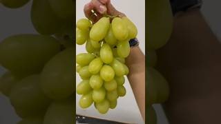 Great Harvest  XL Grapes [upl. by Susette]