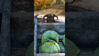 Jesper the Guard discovers the Dragonborns growing fascination with cabbages Skyrim Gaming [upl. by Ariaek]