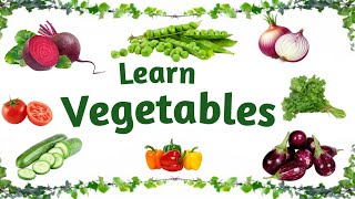 Learn Vegetables  Vegetables names with pictures  Name of Vegetables in English [upl. by Goulden611]