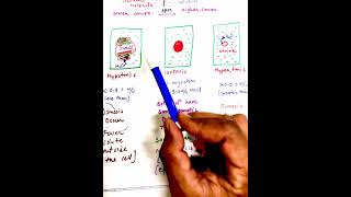 OsMosis  Reverse OsMosis  ISOTONIC HYPERTONICHYPOTONIC SOLUTIONs  SOLUTIONS 12th CBSE neet2025 [upl. by Emmeline]