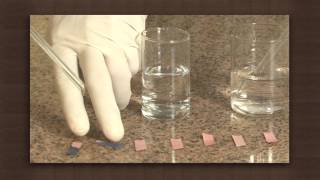 Neutralisation Reaction of Sodium Hydroxide and Hydrochloric Acid [upl. by Goren]