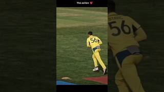 Michael Stark 🔥☠️ cricket australia michael stark shorts ChetanP278 [upl. by Benn89]