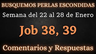 BUSQUEMOS PERLAS ESCONDIDAS ✅ SEMANA DEL 22 AL 28 DE ENERO ♡ JOB 38 39 [upl. by Tertias]