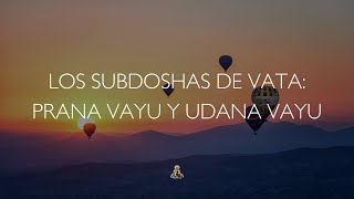 Los Subdoshas de Vata Prana Vayu y Udana Vayu  PODCAST [upl. by Towny652]