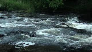 Fast Flowing River Sounds  1 Hour  Relax With Nature [upl. by Pressey287]