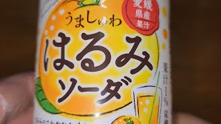 SANGARIA 愛媛県産果汁 うましゅわはるみソーダ はるみのさわやかな味わいとはじける爽快感！ 果汁1 炭酸飲料 ●内容量：500ml [upl. by Song]