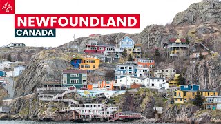 Canada Road Trip Best Things To Do In Newfoundland [upl. by Aramas]