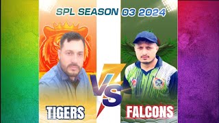 Sultan Tigers vs Sultan Falcons Eliminators  SPL 3  Full Match Highlights [upl. by Mossman197]