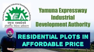 Noida Authority Plots In Affordable Price  सबसे सस्ते Plots plots delhi dda realestate yeida [upl. by Vudimir]