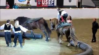 Equine Affaire Pfizer Fantasia 2011 Part 2 [upl. by Tisman669]