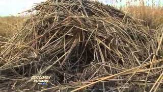 Outdoors Delmarva Muskrat Trapping [upl. by Brande]