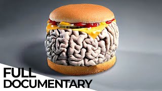 How Food Affects Our Mental Health  ENDEVR Documentary [upl. by Ryon]