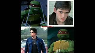 The Outsiders As Teenage Ninja Turtles Intro [upl. by Oiludbo]