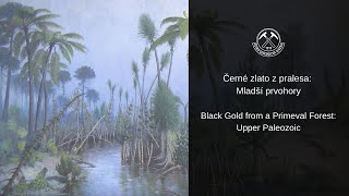 Černé zlato z pralesa Mladší prvohory Black Gold from a Primeval Forest Upper Paleozoic [upl. by Airreis]