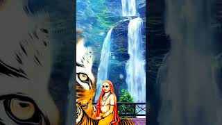 Male Mahadeshwara Songs Mahadeshwara Kannada SongsChamarajanagara RBAMM shorts mm mahadeshwara [upl. by Lapotin]